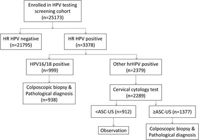 Cervical cancer screening in high-altitude areas in China: A large cross-section study of 25,173 women in northern Tibet